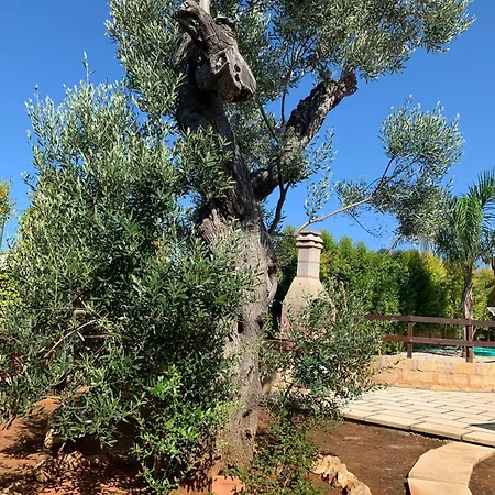 Mari Con Piscina Esclusiva Nel Salento Capilungo
